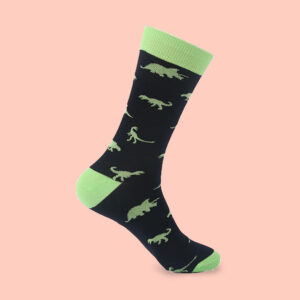 Dinosaur Socks – Unleash Your Prehistoric Style!